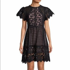 FEW MODA puff sleeve lace fit-and-flare dress